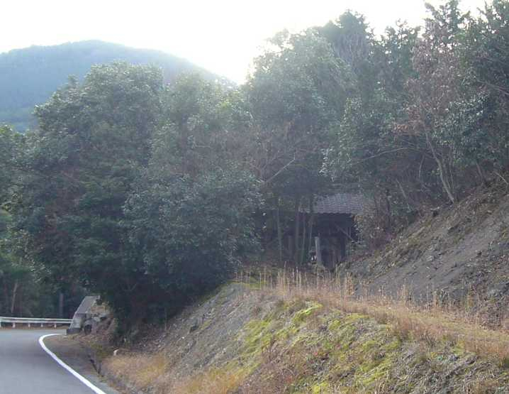P1010350