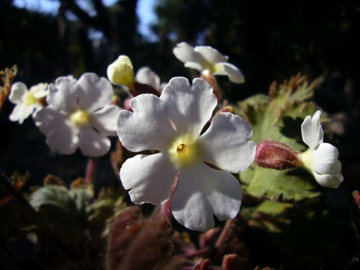 P1010474