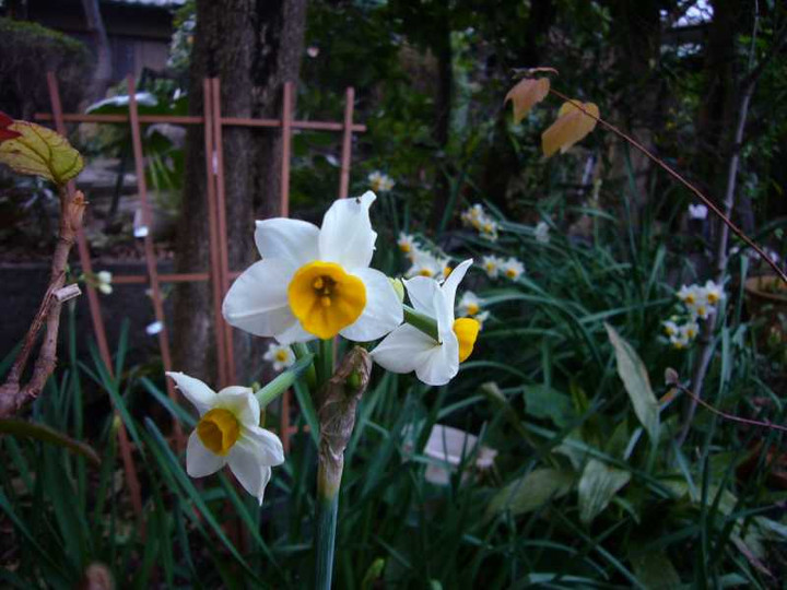 P1010598
