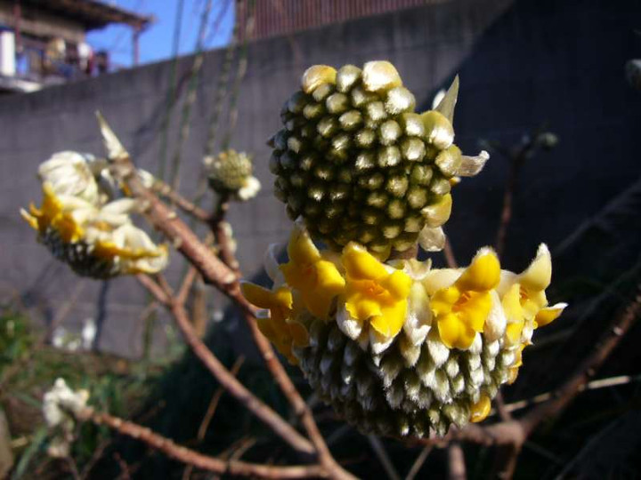P1010617