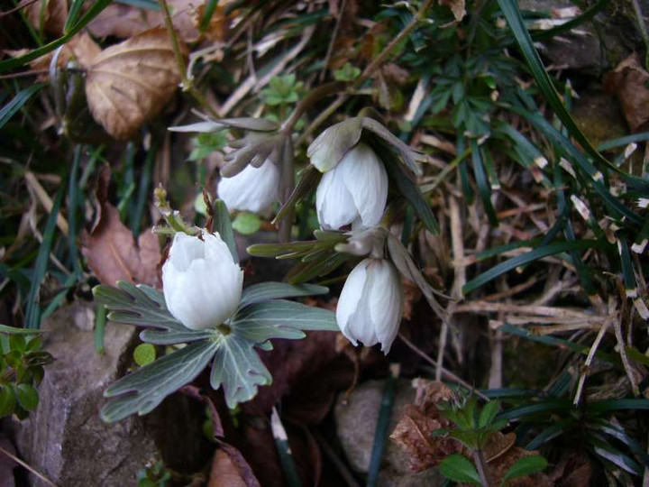 P1010658