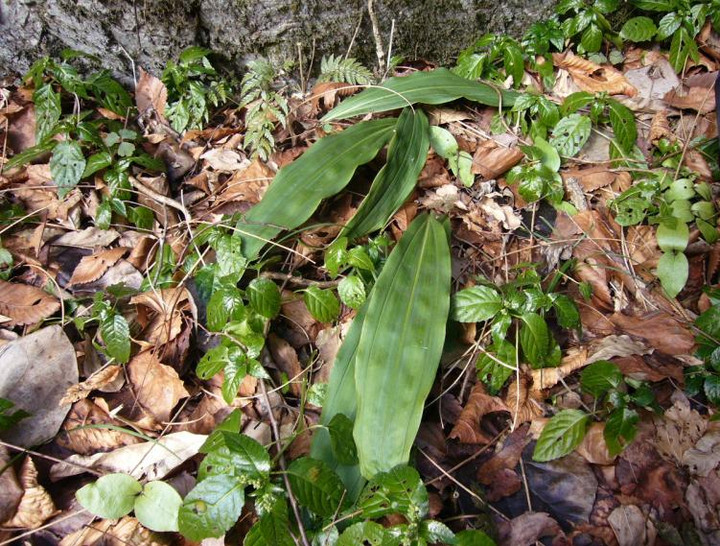 P1010674