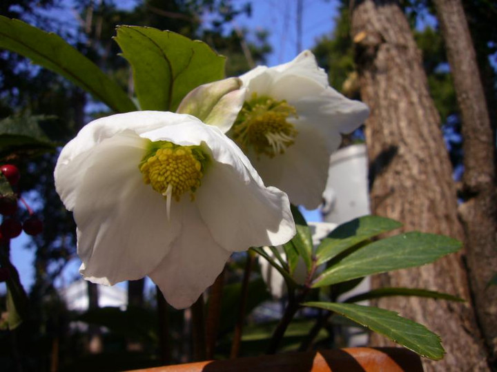 P1010740