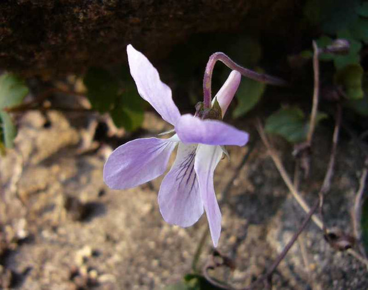 P1010758