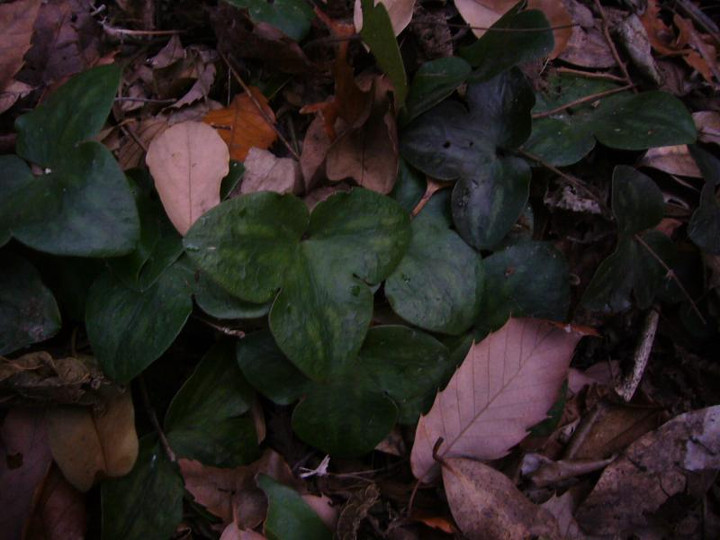 P1010778
