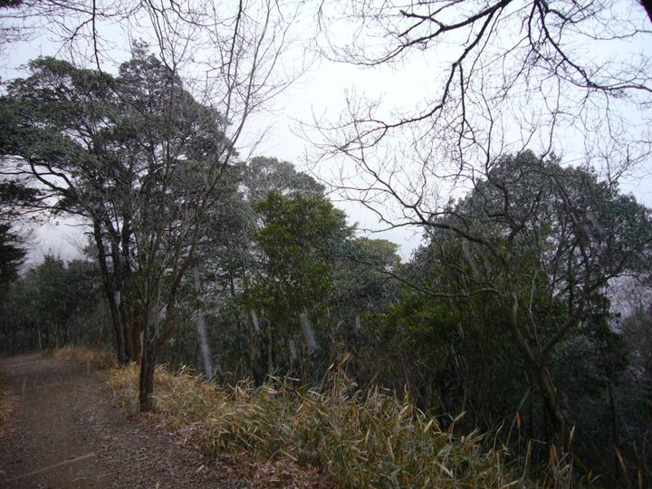 P1010785
