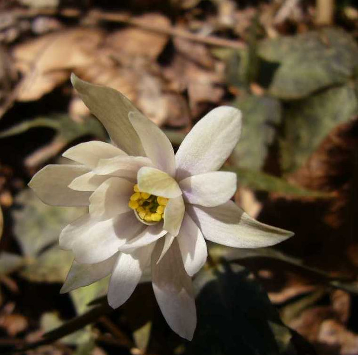 P1010863