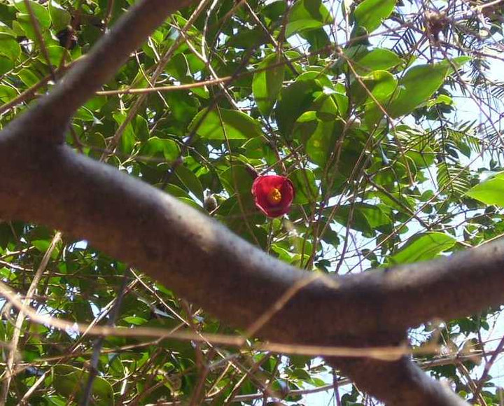 P1010876