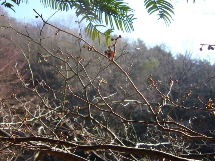 P1010877