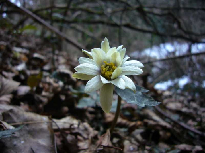 P1010903
