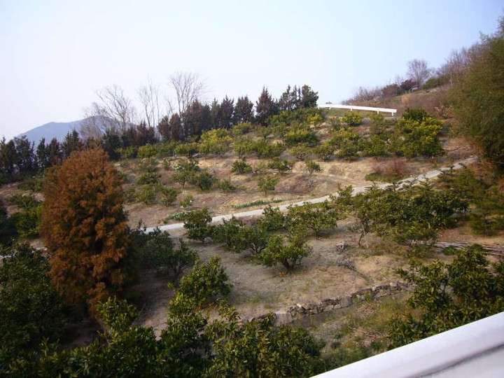 P1010999
