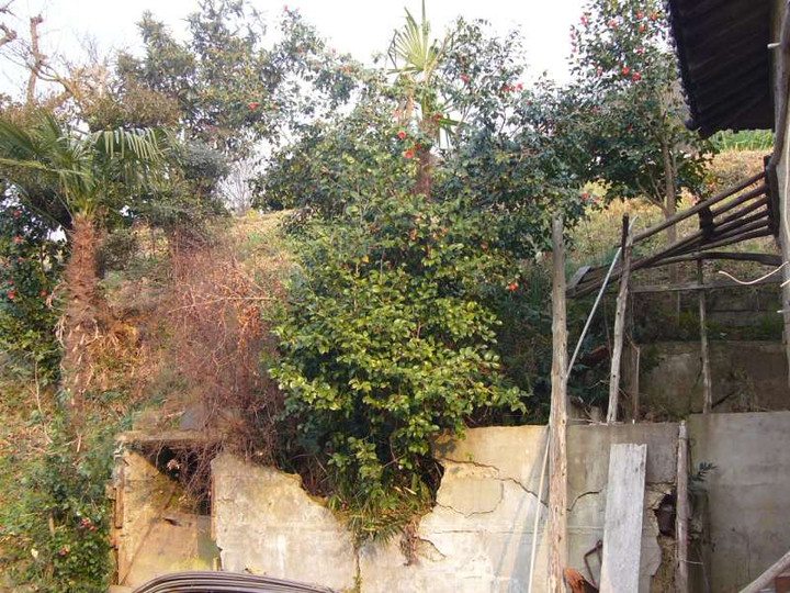 P1020001