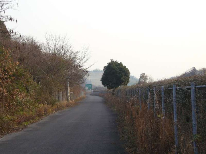 P1020005