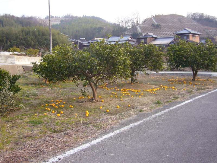 P1020008