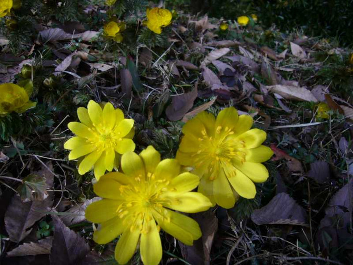 P1020260