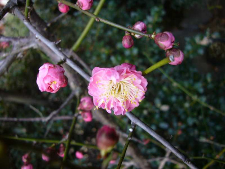 P1020395