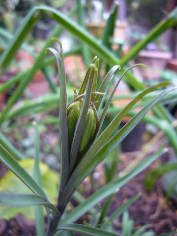 P1020437