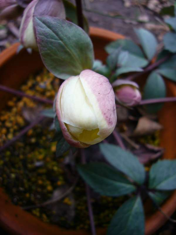 P1020447