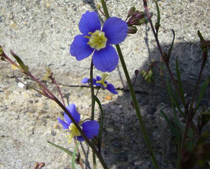 P1020508
