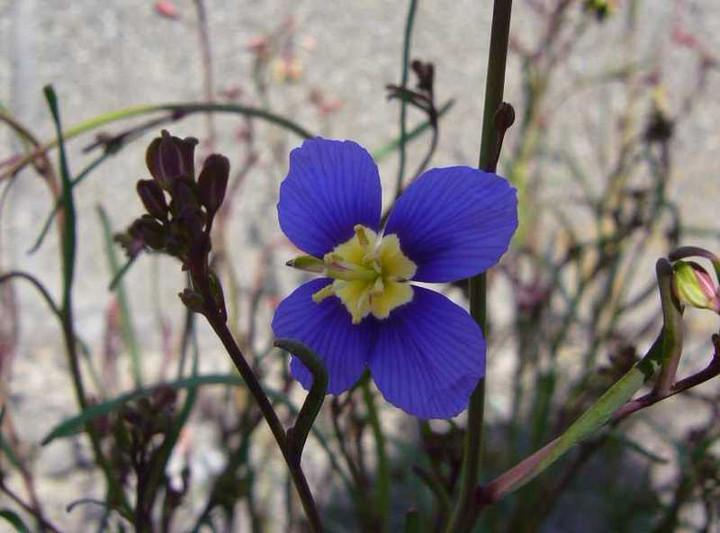 P1020510