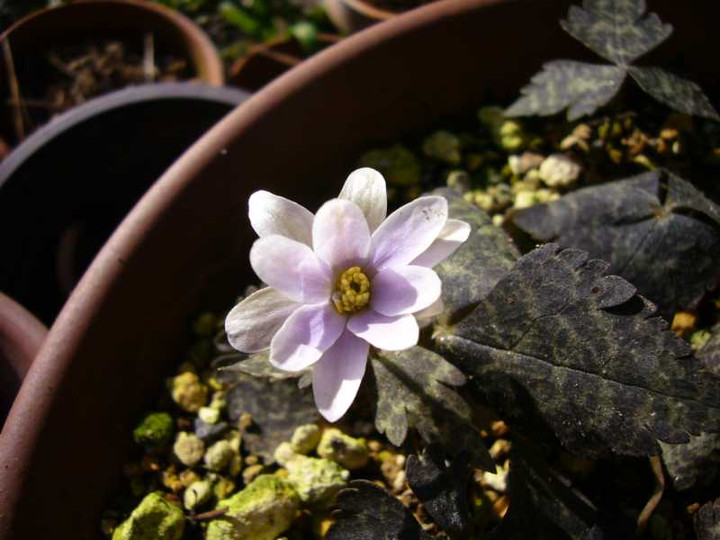 P1020577