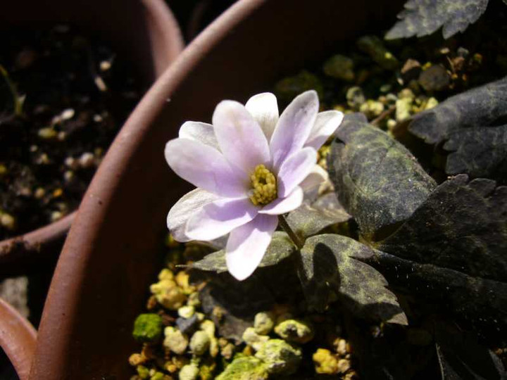 P1020578