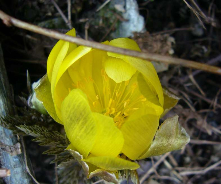 P1020759