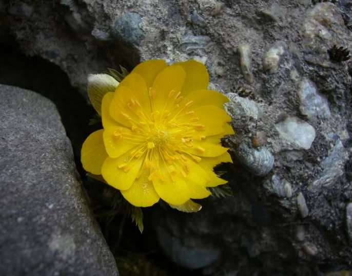 P1020804