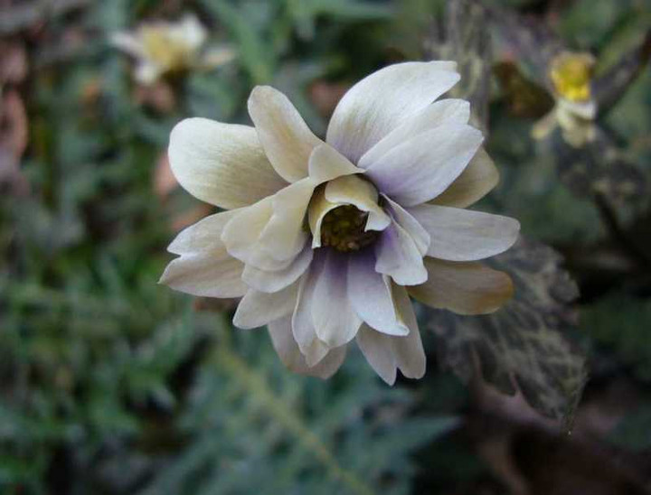 P1020917