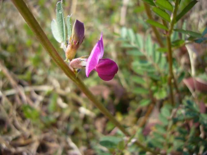 P1030050
