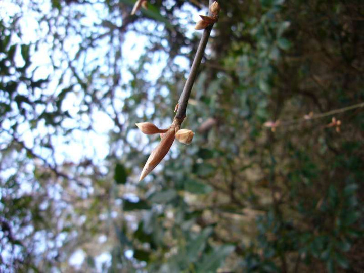 P1030090