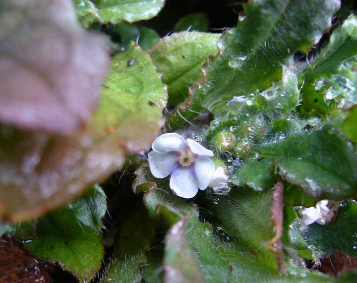 P1030216