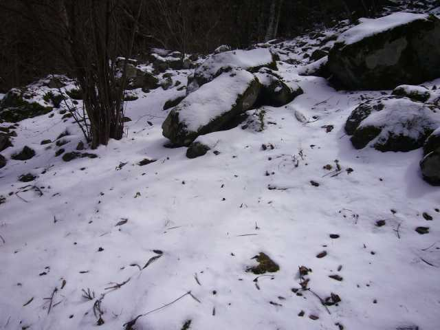 P1030381