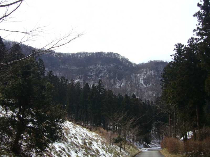 P1030390