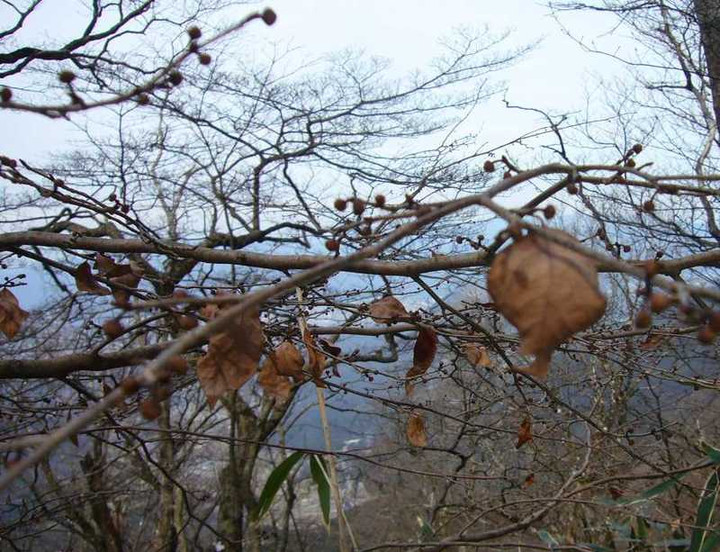 P1030437