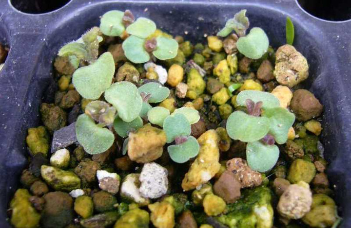 P1030770