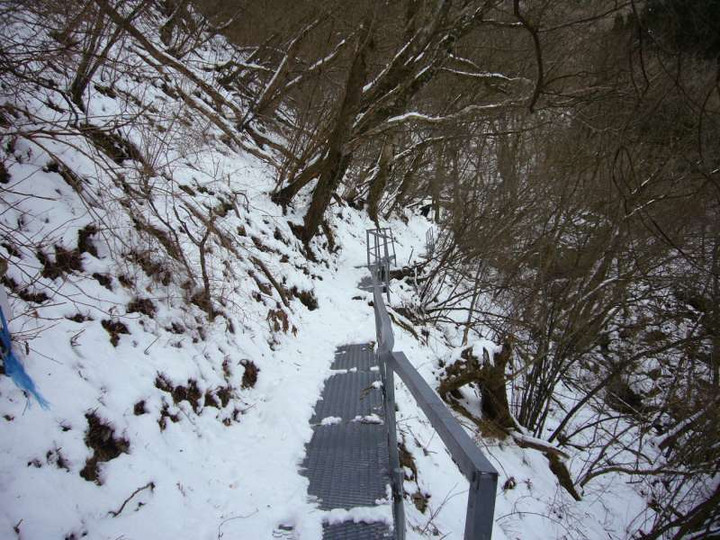 P1030864