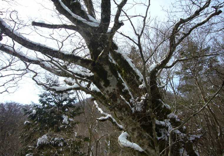 P1030871