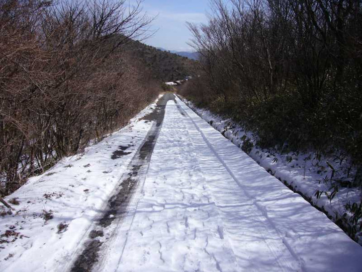 P1030899