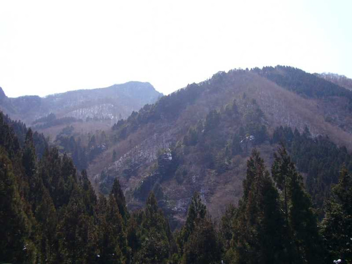 P1030903