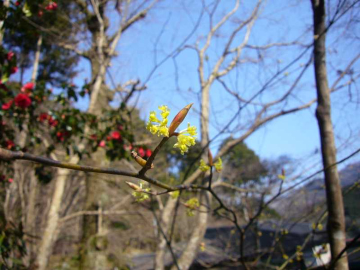 P1030958