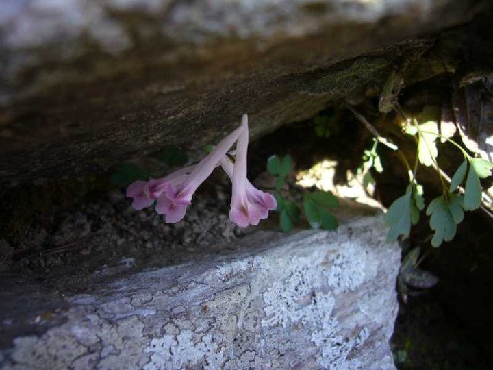 P1030965