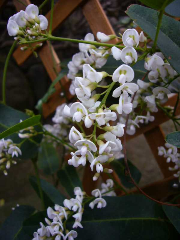 P1040033