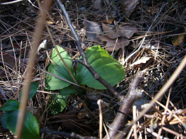 P1040080