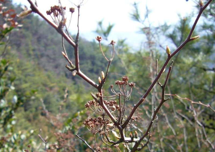 P1040086
