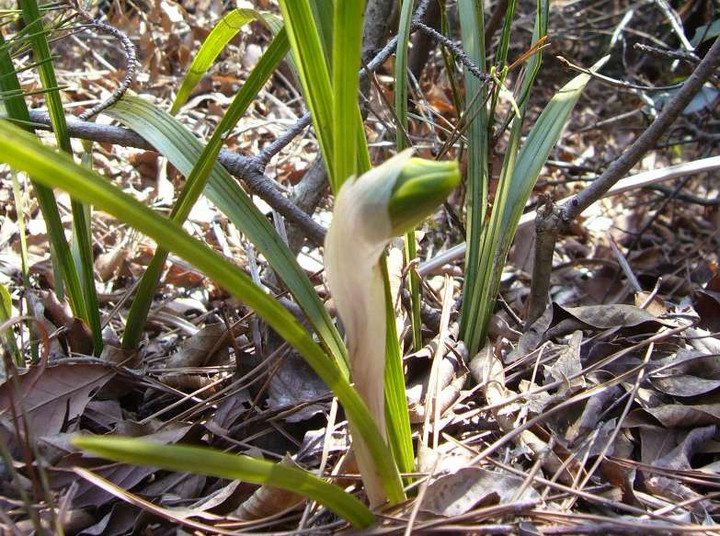 P1040092