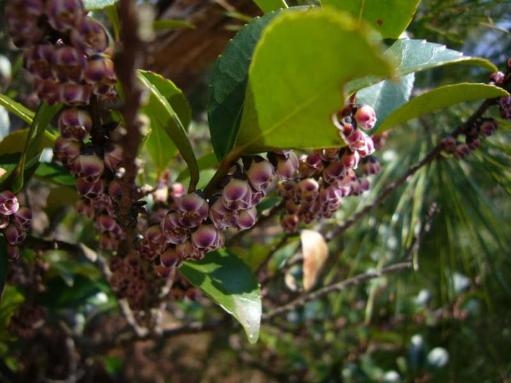 P1040096
