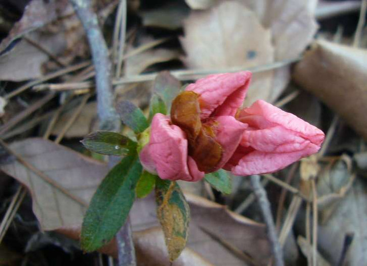 P1040108