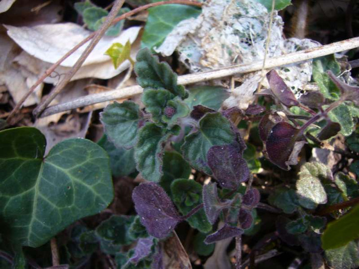 P1040135