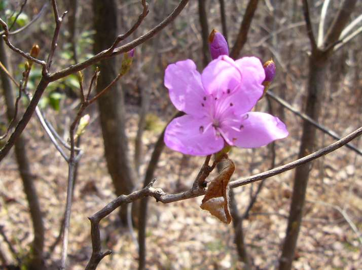 P1040159